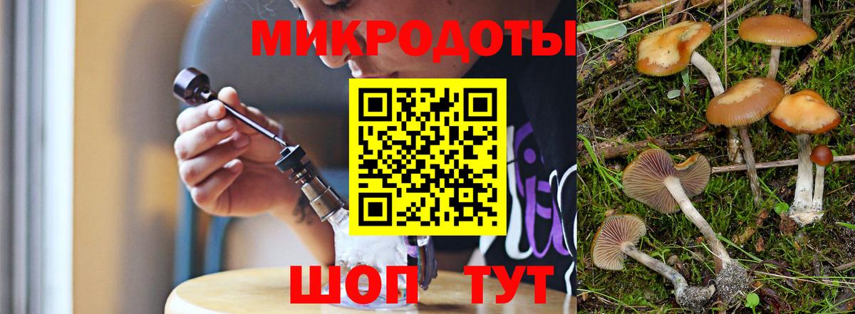 Псилоцибиновые грибы прущие грибы Пермь