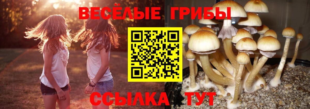 Псилоцибиновые грибы Psilocybe  Псилоцибиновые грибы мицелий  Пермь  купить наркотики сайты  Вход с VPN 